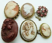 A collection of shell cameo brooches including Victorian pinchbeck example