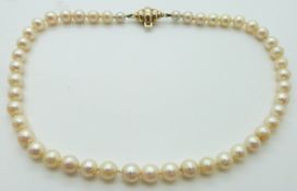 A single strand of pearls with 9ct gold clasp.