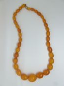 A Baltic amber necklace made up of graduated oval beads the largest bead 2.4 x 2cm, smallest 1 x 0.