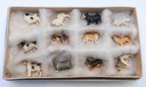 Twelve miniature carved bone dogs, each a different breed, most approx 2.5cm long.