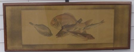 A 19thC Japanese watercolour on silk of fish, 25cm x 66cm