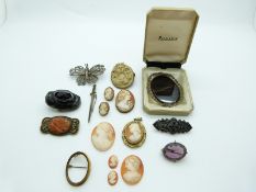 A collection of brooches including two Victorian jet, a Chinese brooch set with agate, lava cameo,