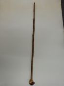 Carved and painted wooden walking stick with knop in the form of a pheasant, 130cm long.