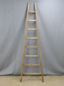 Vintage fruit picking or similar ladder
