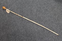 An antique marine vertebrae walking stick with mahogany handle