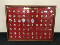 A teak framed display containing a collection of Army cap badges