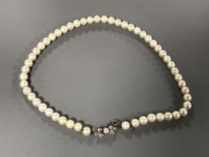 A fine quality strap of uniform pearls with 18ct gold diamond clasp