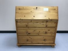 A pine bureau