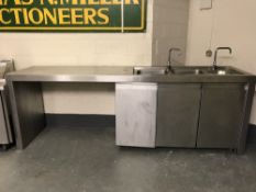 A large stainless steel double sink with storage below