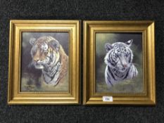 A pair of gilt framed Stephen Gayford prints depicting tigers