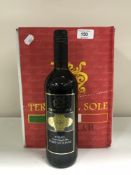 Twelve bottles of Terre del Sole Syrah Italian wine (2 boxes)