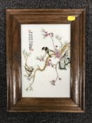 A framed Chinese hand painted porcelain panel depicting birds perched on a branch