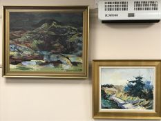 A gilt framed continental oil on canvas - by Sig k' Arnson dated 1967 and one other similar