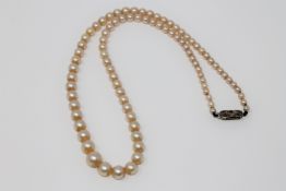 Fine quality strap of graduated pearls on a white gold diamond clasp