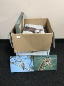 Fourteen assorted wall canvases depicting wildlife
