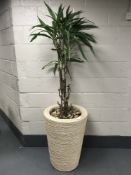 A large plant in a wicker planter.