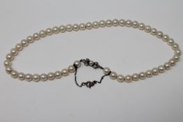 Fine quality strap of graduated pearls on a white gold diamond clasp