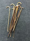A group of Victorian and later walking sticks,