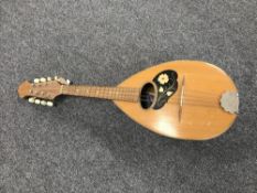 A bowl backed mandolin