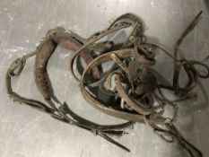 A quantity of leather horse tack