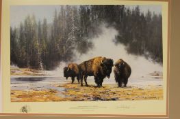 After David Shepherd : The Hot Springs of Yellowstone, reproduction in colours, numbered 323/1500,