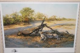 After David Shepherd : Savuti Sands, reproduction in colours, numbered 548/1000, signed in pencil,