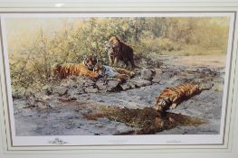 After David Shepherd : The Tigers of Bandhavgarh, reproduction in colours, numbered 732/1000,