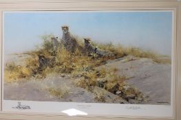 After David Shepherd : The Cheetahs of Namibia, reproduction in colours, numbered 501/1000,