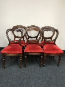 A set of six mahogany balloon backed chairs