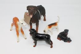 A Royal Doulton matt-glazed china figure - Rottweiler, height 13.