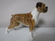 A Beswick figure of a boxer dog
