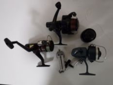 A box containing three spool reels together with a set of Salter pocket scales