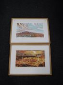 Ray Arnold : Ideal Ireal, limited edition colour print, 195/300,