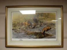 After David Shepherd : The Tigers of Bandhavgarh, reproduction in colours, numbered 732/1000,