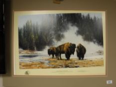 After David Shepherd : The Hot Springs of Yellowstone, reproduction in colours, numbered 323/1500,