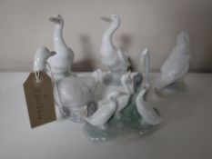 Five Nao figures of ducks