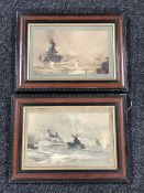 A pair of antiquarian framed colour print,