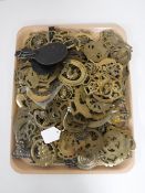 A tray containing a large quantity of horse brasses