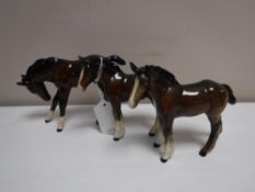 Three Beswick figures of foals (brown gloss)