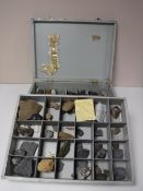 A collection of rock samples in case