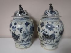A pair of Chinese blue and white lidded temple jars with fish decoration,