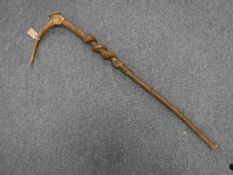 A walking stick with antler handle