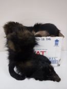 A box containing a quantity of fox furs and fur stoles