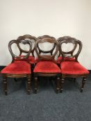 A set of six mahogany balloon backed chairs