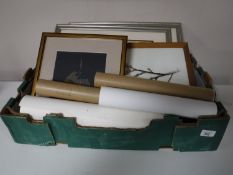 A pair of Elizabeth Delph framed watercolours - flowers, three framed Paul Nicholas prints of birds,