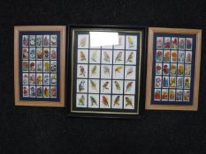 Three frames containing Wills and Players cigarette cards,
