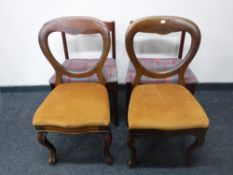 A pair of Victorian balloon back chairs and a pair of McIntosh chairs