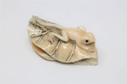 A well-carved Japanese ivory netsuke depicting a frog on a leaf, Meiji period, signed, length 6.