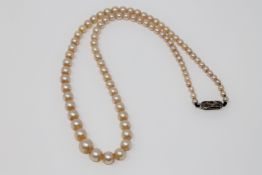 Fine quality strap of graduated pearls on a white gold diamond clasp