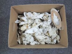 Taxidermy: A box of a large quantity of Rowe buck skulls